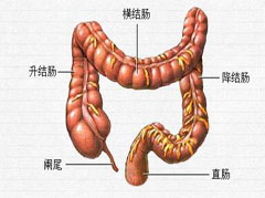 大連胃腸醫(yī)院
