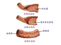 大連胃腸醫(yī)院