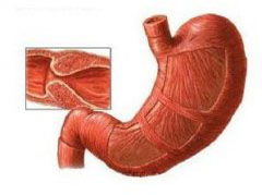 大連胃腸醫(yī)院