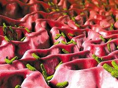 大連胃腸醫(yī)院